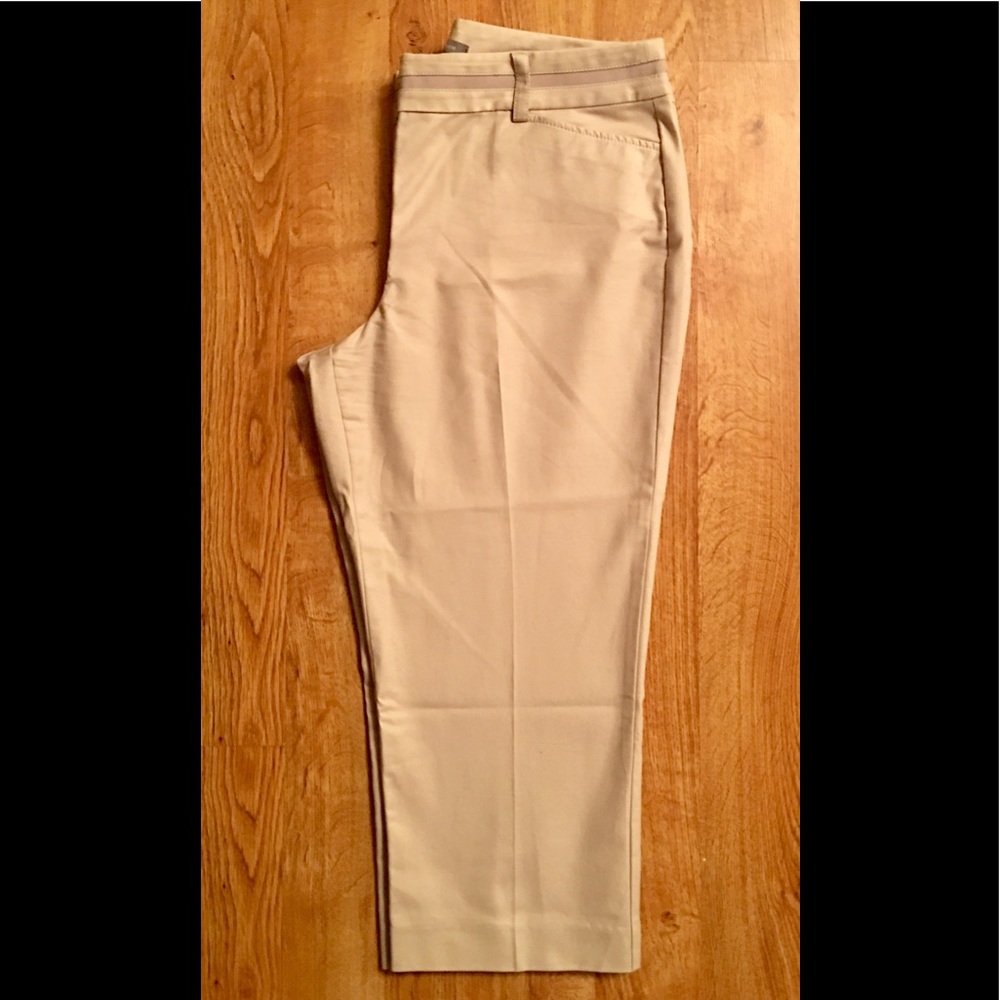 Ann Taylor Curvy Fit